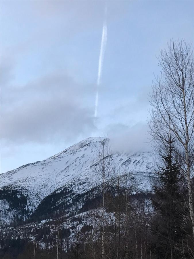 Bellevue Apartments Vila Vlasta Stary Smokovec Vysoké Tatry Eksteriør billede